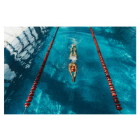 Fotografie View from above of woman swimming, Oleg Breslavtsev, 40x26.7 cm