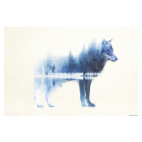 Plakát, Obraz - Forest Wolf, (91.5 x 61 cm)