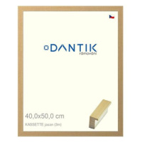 DANTIK rámeček 40 × 50, KASSETTE jasan plexi čiré