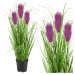 Tutumi Umělá tráva Pamp v květináči 70 cm fialová