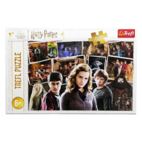 TREFL Harry Potter s přáteli 160 dílků