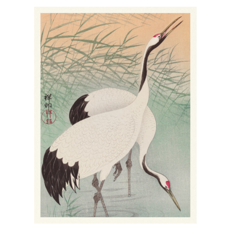 Obrazová reprodukce Two Cranes, Ohara Koson, 30 × 40 cm