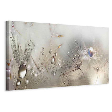 artgeist MALBA NA PLÁTNĚ, abstraktní, květiny cm