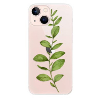 iSaprio Green Plant 01 pro iPhone 13 mini