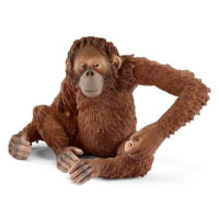 Schleich Orangutan samice