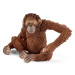 Schleich Orangutan samice