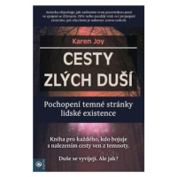 Cesty zlých duší - Pochopení temné stránky lidské existence - Joy Karen