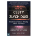 Cesty zlých duší - Pochopení temné stránky lidské existence - Joy Karen