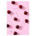 Fotografie Cherries on pink background, Studio Collection, 26.7 × 40 cm