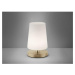 PAUL NEUHAUS LED stolní lampa v matné mosazi s decentním podlouhlým stínítkem na lampu 3000K PN 