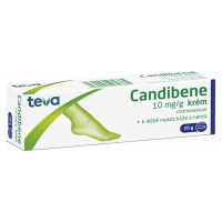 CANDIBENE Krém proti infekcím 10 mg 20 g