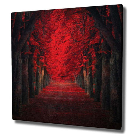 Nástěnný obraz na plátně Red Trees, 45 x 45 cm Wallity