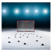 Fotografie Ice hockey goal surrounded by pucks., Robert Decelis, 40 × 40 cm