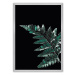 Dekoria Plakát Dark Fern Leaf, 70 x 100 cm, Volba rámku: Stříbrný