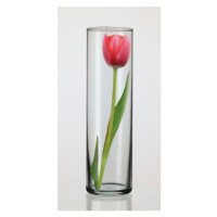 SIMAX Váza skleněná DRUM II 27,5 x 8,4 cm - SIMAX