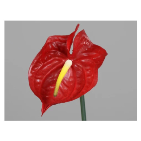 Umělá květina Anthurium 65 cm, červená Asko