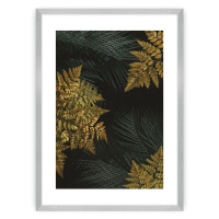 Dekoria Plakát Golden Leaves II, 50 x 70 cm, Zvolit rámek: Stříbrný