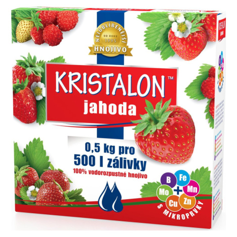 Hnojivo KRISTALON Jahoda 0,5 kg Agro 000503