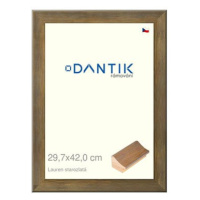 DANTIK rámeček 29,7 × 42, Lauren starozlatý plexi čiré