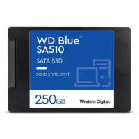 WD Blue SA510 2,5