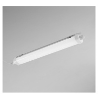 CENTURY LED prachotěs PRIMA 50W 4000K IP65