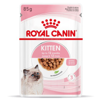 Royal Canin Kitten Gravy - vlhké krmivo v omáčce pro koťata 12 x 85 g