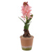 Umělá rostlina (výška 29 cm) Hyacinth – Ixia