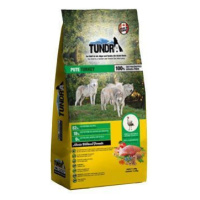 Tundra Dog Turkey Alberta Wildwood Formula 11,34kg