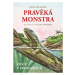 Pravěká monstra: Život v prvohorách (Jak vypadal svět před příchodem dinosaurů) - kniha z katego