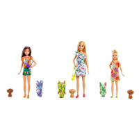 MATTEL - Barbie Dha Sestra S Plavkami , Mix Produktů