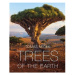 Trees of the Earth