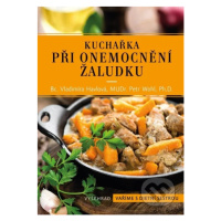 Kuchařka při onemocnění žaludku - Vladimíra Havlová, Petr Wohl - kniha z kategorie Alternativní 