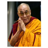 Fotografie The Dalai Lama, 2008, Don Arnold, 30 × 40 cm