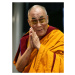 Fotografie The Dalai Lama, 2008, Don Arnold, 30 × 40 cm