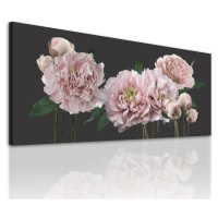 Obraz na plátně PEONY A 120x50 cm Ludesign