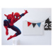 York Wallcoverings Nálepky na stěnu s Marvel motivem SPIDERMAN