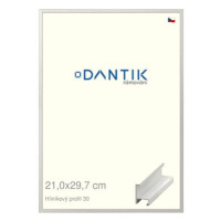 DANTIK rámeček 21 × 29,7, ALU profil 6030 Dýha bílý sklo čiré