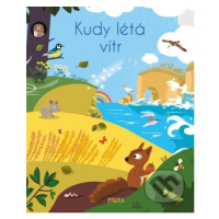 Kudy létá vítr - JM Claude, Nicole Colas des Francs (Ilustrátor) - kniha z kategorie Naučné knih