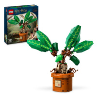 LEGO® Harry Potter™ 76433 Mandragora