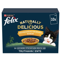 FELIX Naturally Delicious rozmanitost z louky 10 × 80 g