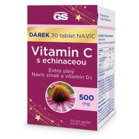 GS Vitamin C500mg s echinaceou tbl.70+30 dárek