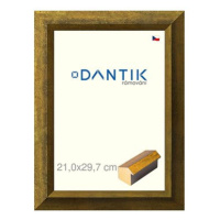 DANTIK rámeček 21 × 29,7, Forgia Gold sklo čiré