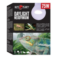 Žárovka Repti Planet Daylight Neodymium 75W