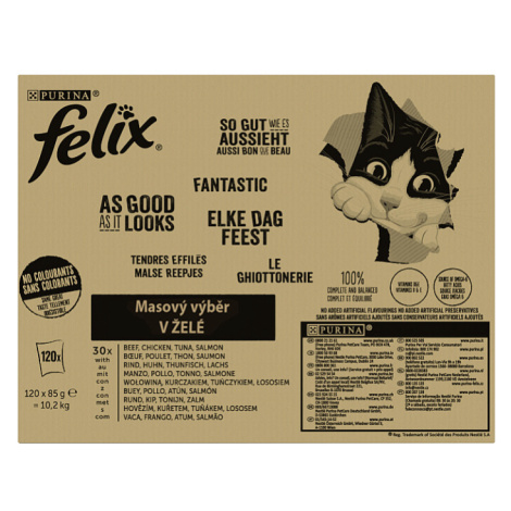 FELIX Fantastic lahodný výběr v želé 120 x 85g