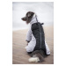 Vsepropejska Plex zimní bunda pro psa Barva: Žlutá, Délka zad (cm): 52, Obvod hrudníku: 58 - 62 