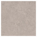 Dlažba Pastorelli Biophilic grey 60x60 cm mat P009459