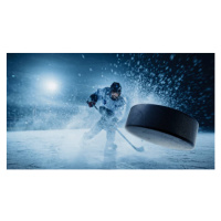Fotografie Ice Hockey Rink Arena: Professional Player, gorodenkoff, (40 x 22.5 cm)