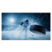 Fotografie Ice Hockey Rink Arena: Professional Player, gorodenkoff, 40x22.5 cm