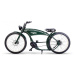 E-BIKE THE RUFFIAN Vintage Green 500 Wh