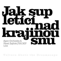 Agon Orchestra/Zajíček: Jak sup letící nad krajinou snu - CD